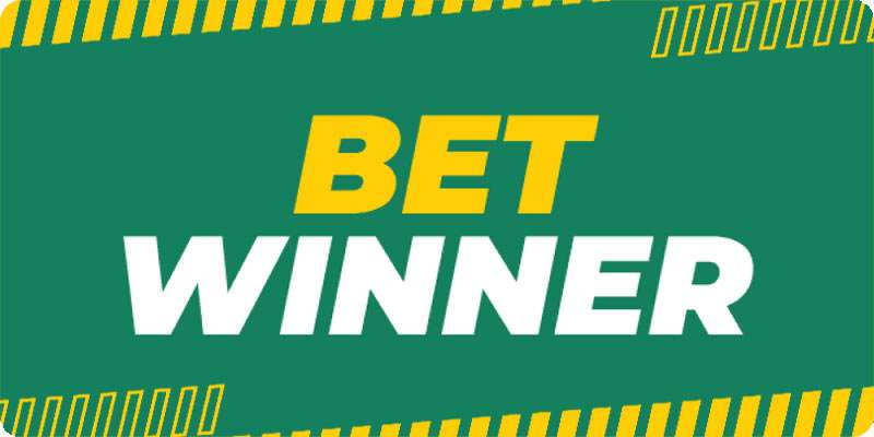 Exploring the Betwinner Betting Platform Exploring the Betwinner Betting Platform